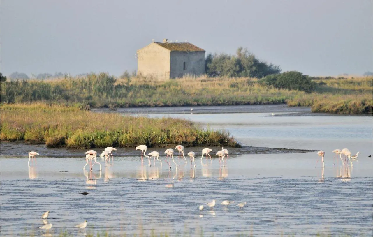 Holiday home La Casetta Villa Taglio Di Po Italy